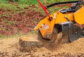 Best Tree Mulching  in Tabor City, NC